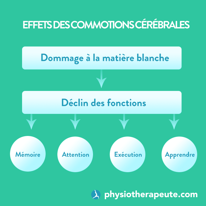 Effets des commotions cérébrales sur la matière blanche